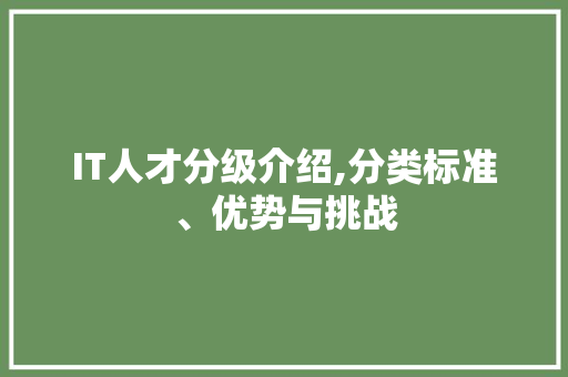 IT人才分级介绍,分类标准、优势与挑战