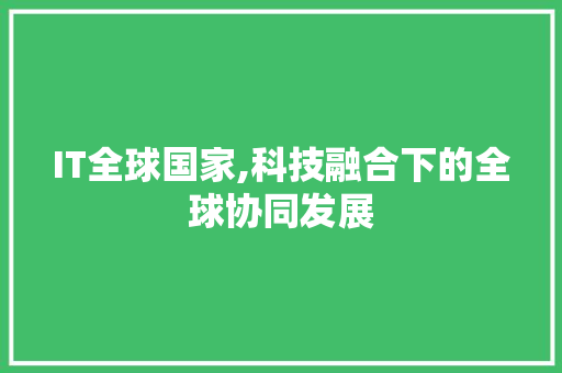 IT全球国家,科技融合下的全球协同发展