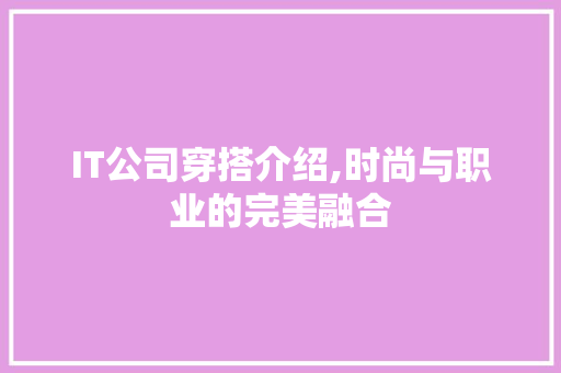 IT公司穿搭介绍,时尚与职业的完美融合