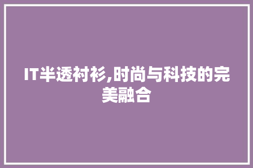 IT半透衬衫,时尚与科技的完美融合