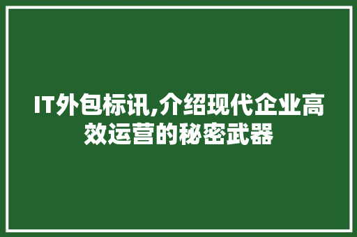 IT外包标讯,介绍现代企业高效运营的秘密武器