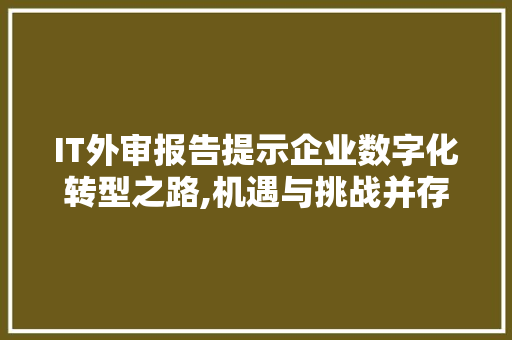 IT外审报告提示企业数字化转型之路,机遇与挑战并存