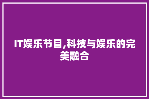 IT娱乐节目,科技与娱乐的完美融合