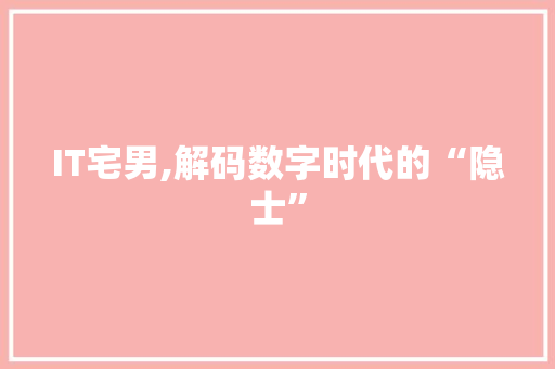 IT宅男,解码数字时代的“隐士”