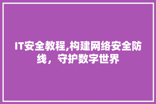 IT安全教程,构建网络安全防线，守护数字世界