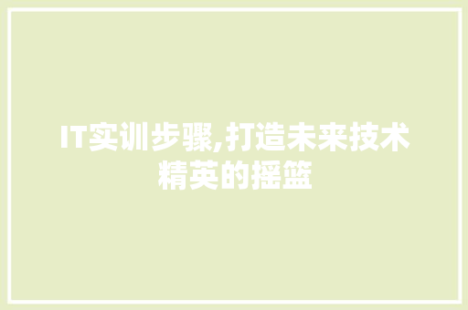 IT实训步骤,打造未来技术精英的摇篮