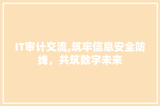 IT审计交流,筑牢信息安全防线，共筑数字未来