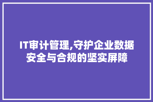 IT审计管理,守护企业数据安全与合规的坚实屏障