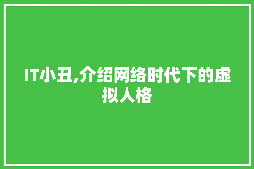 IT小丑,介绍网络时代下的虚拟人格