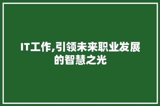 IT工作,引领未来职业发展的智慧之光