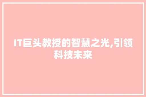 IT巨头教授的智慧之光,引领科技未来