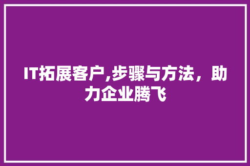 IT拓展客户,步骤与方法，助力企业腾飞