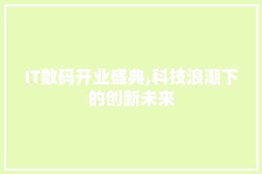 IT数码开业盛典,科技浪潮下的创新未来