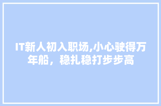 IT新人初入职场,小心驶得万年船，稳扎稳打步步高