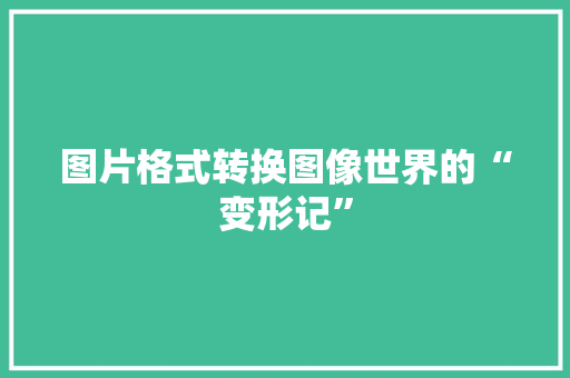 图片格式转换图像世界的“变形记”