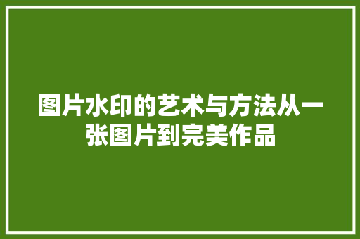 图片水印的艺术与方法从一张图片到完美作品