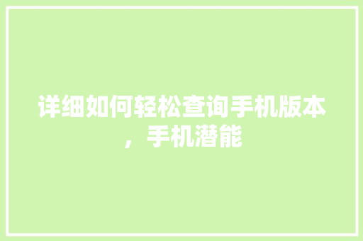 详细如何轻松查询手机版本，手机潜能