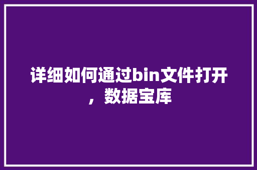 详细如何通过bin文件打开，数据宝库