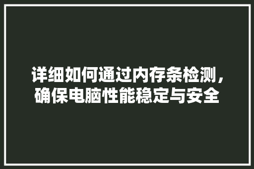 详细如何通过内存条检测，确保电脑性能稳定与安全