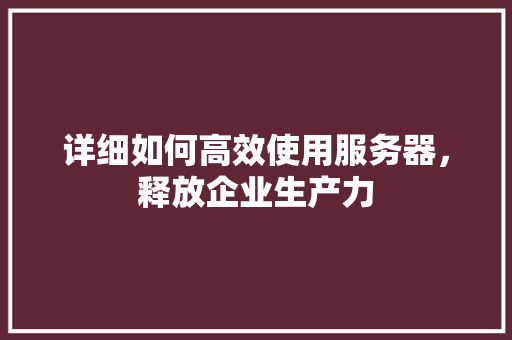 详细如何高效使用服务器，释放企业生产力