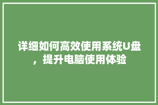 详细如何高效使用系统U盘，提升电脑使用体验