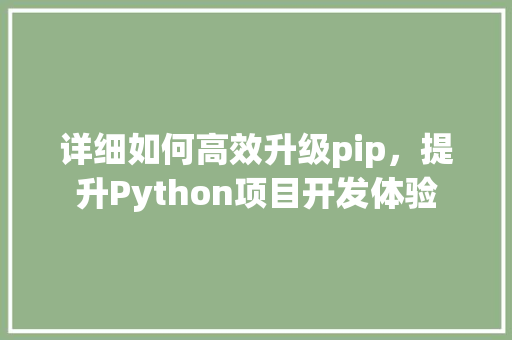 详细如何高效升级pip，提升Python项目开发体验