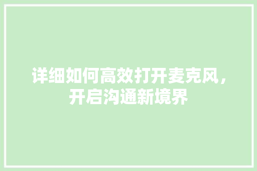 详细如何高效打开麦克风，开启沟通新境界