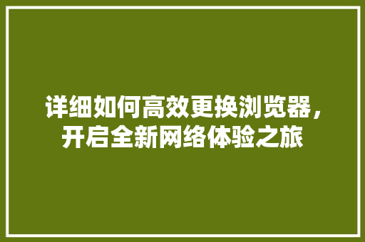 详细如何高效更换浏览器，开启全新网络体验之旅