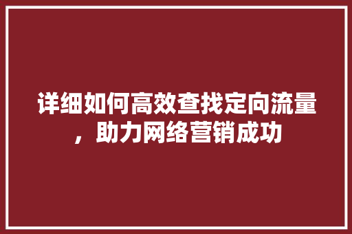 详细如何高效查找定向流量，助力网络营销成功