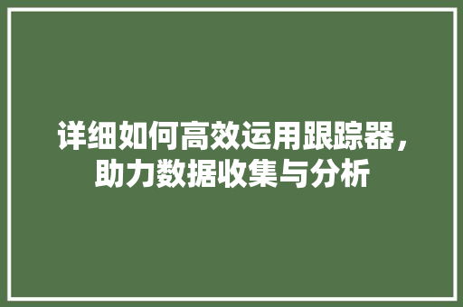 详细如何高效运用跟踪器，助力数据收集与分析