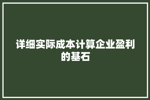 详细实际成本计算企业盈利的基石