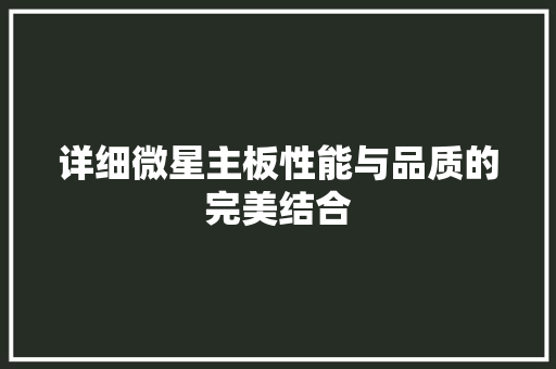 详细微星主板性能与品质的完美结合