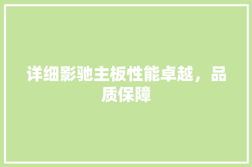 详细影驰主板性能卓越，品质保障