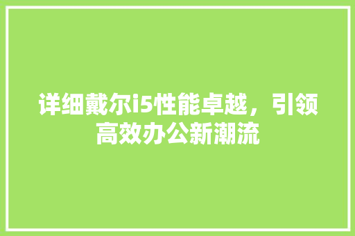 详细戴尔i5性能卓越，引领高效办公新潮流