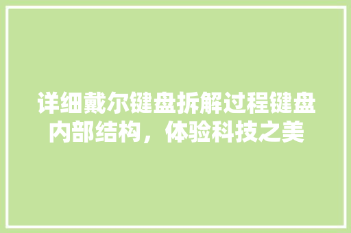 详细戴尔键盘拆解过程键盘内部结构，体验科技之美