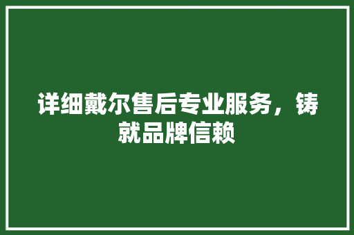 详细戴尔售后专业服务，铸就品牌信赖