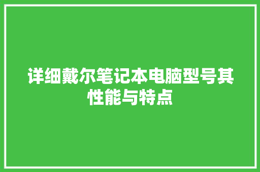 详细戴尔笔记本电脑型号其性能与特点