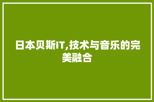 日本贝斯IT,技术与音乐的完美融合