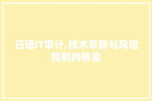 日语IT审计,技术革新与风险控制的桥梁