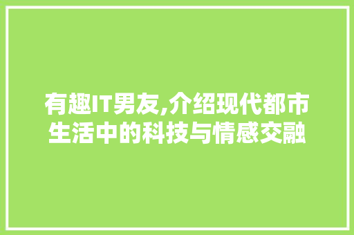 有趣IT男友,介绍现代都市生活中的科技与情感交融