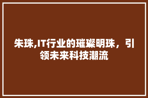 朱珠,IT行业的璀璨明珠，引领未来科技潮流