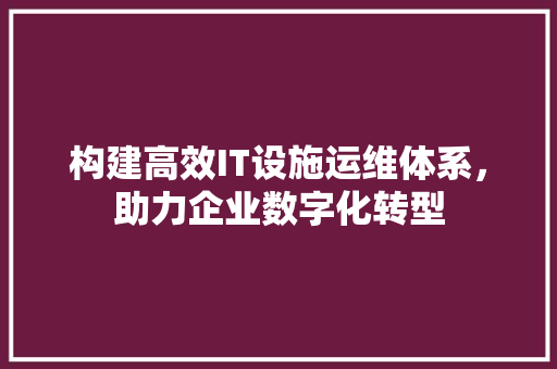 构建高效IT设施运维体系，助力企业数字化转型