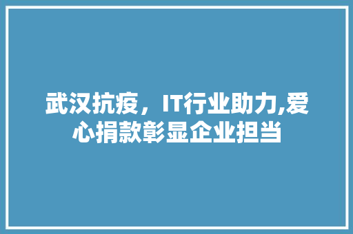 武汉抗疫，IT行业助力,爱心捐款彰显企业担当