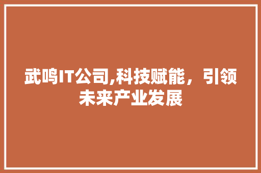 武鸣IT公司,科技赋能，引领未来产业发展