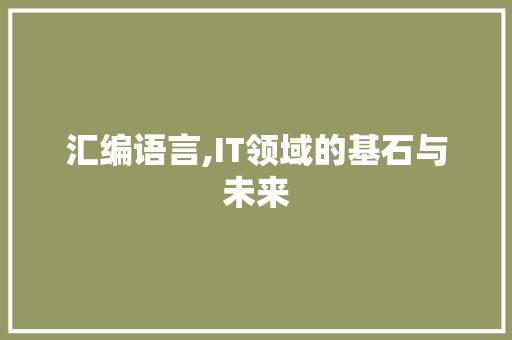 汇编语言,IT领域的基石与未来