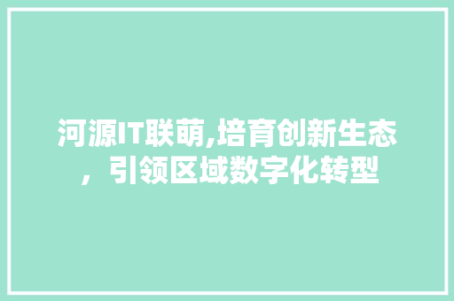 河源IT联萌,培育创新生态，引领区域数字化转型