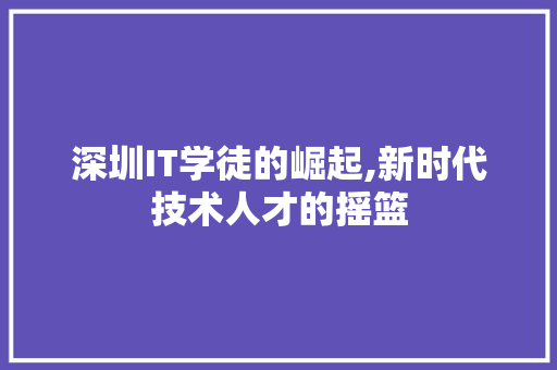 深圳IT学徒的崛起,新时代技术人才的摇篮