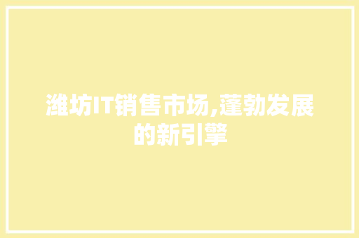 潍坊IT销售市场,蓬勃发展的新引擎