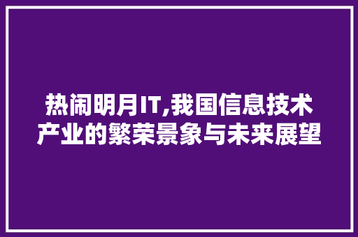 热闹明月IT,我国信息技术产业的繁荣景象与未来展望