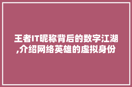 王者IT昵称背后的数字江湖,介绍网络英雄的虚拟身份